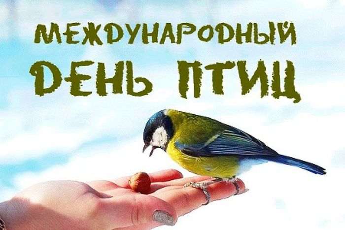 плакат "Международный день птиц"