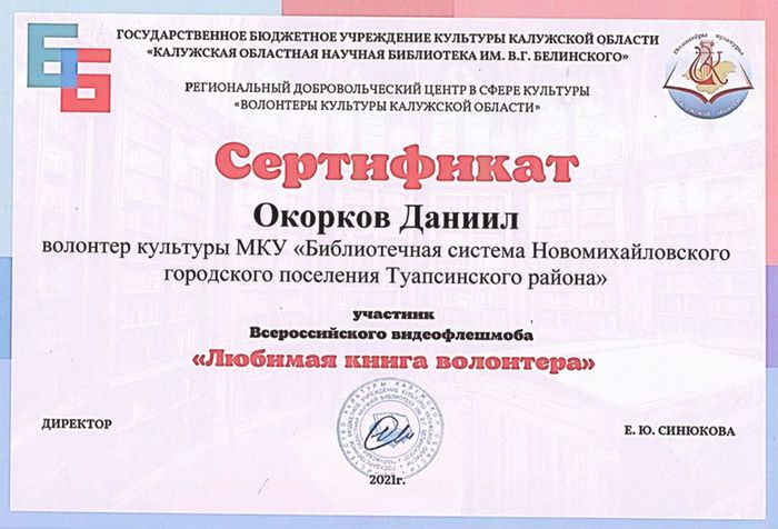 сертификат читателю Новомихайловской центральной библиотеки Окоркову Д.